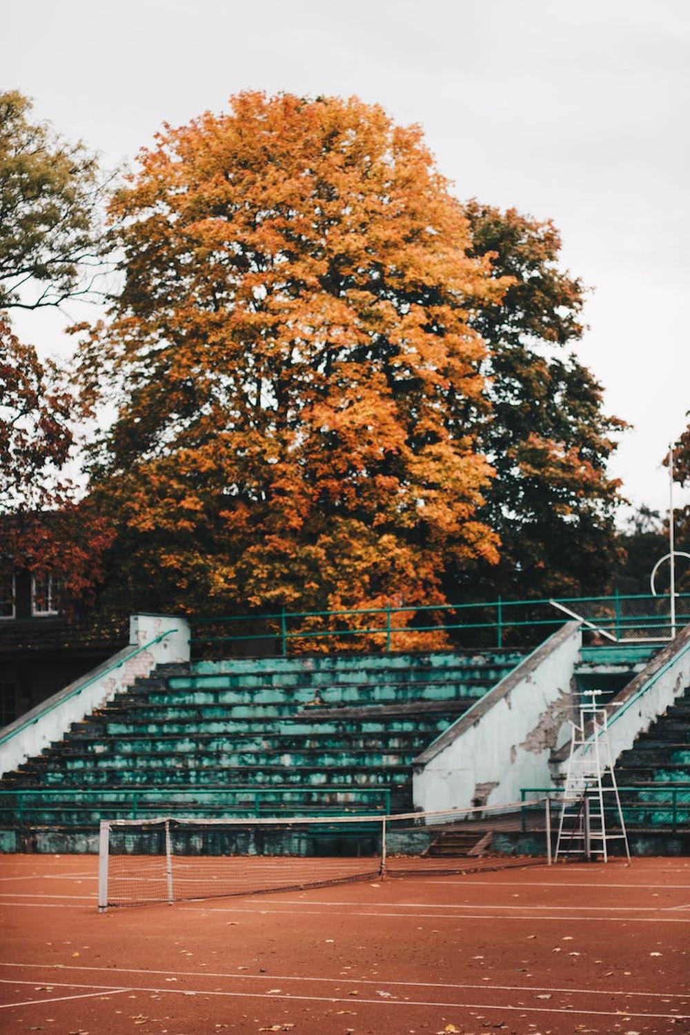 empty_green_and_white_concrete_bleachers_near_brow