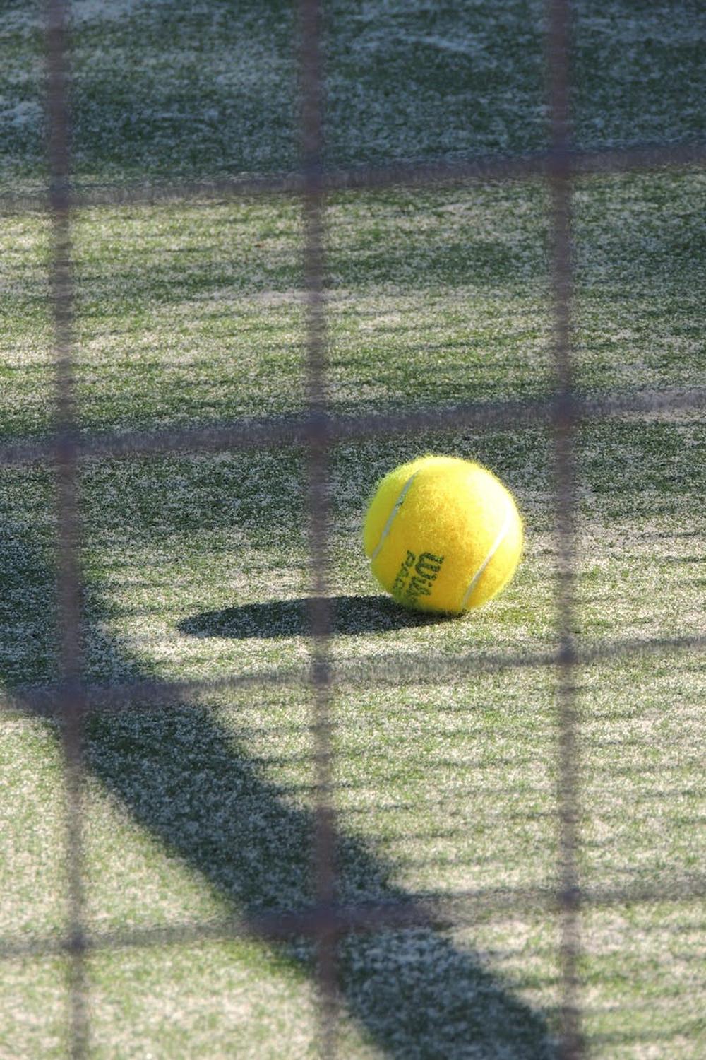 sport_ball_tennis_paddle